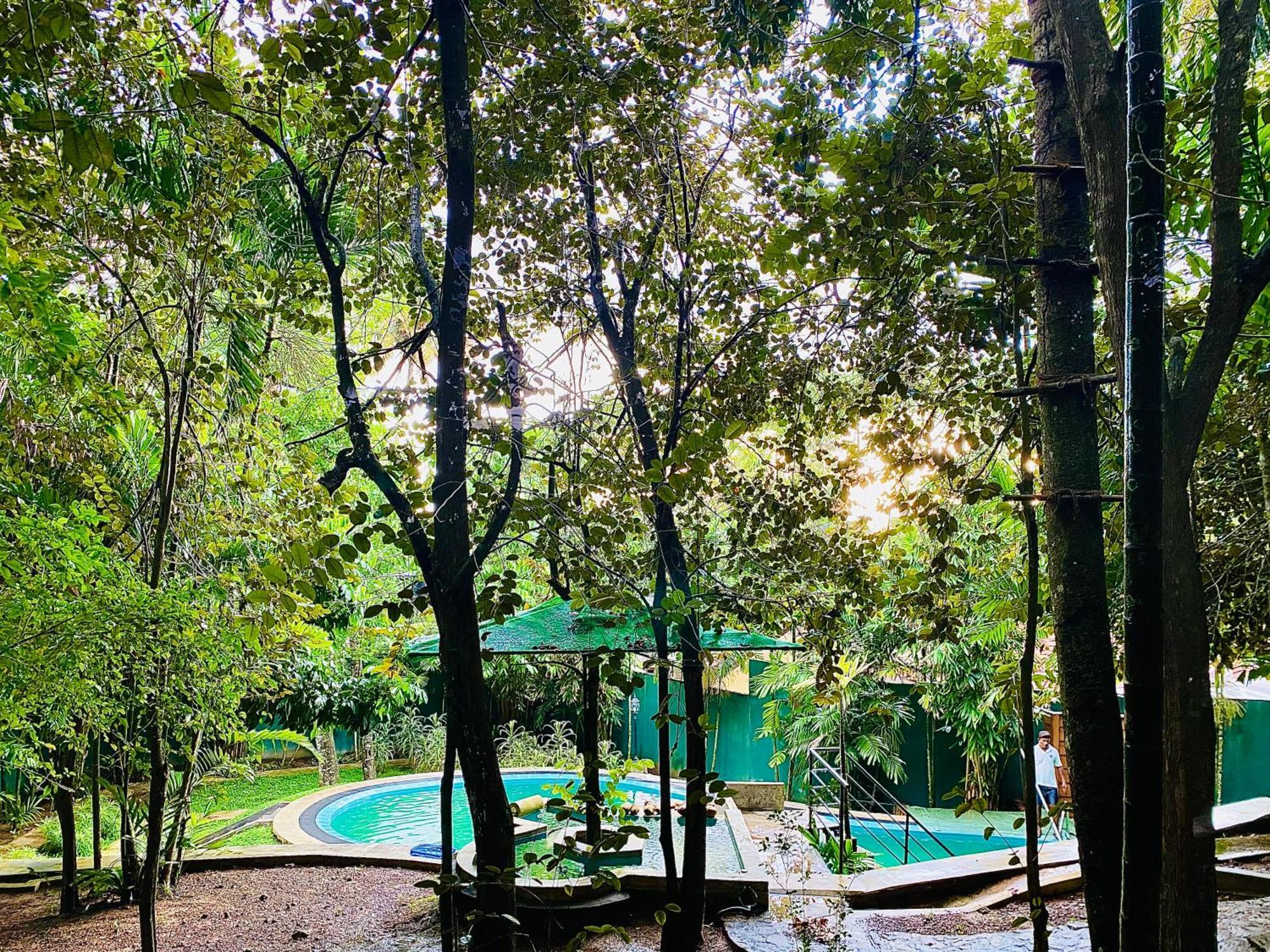 Nature Will Ahangama Exterior foto